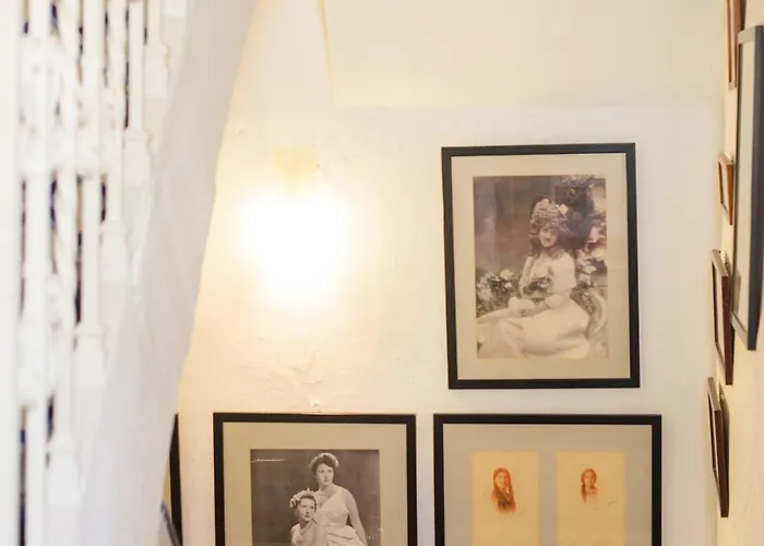Light-filled In The Heart Of Apartamento